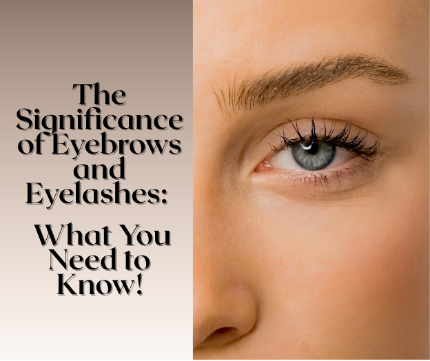 The Significance of Eyebrows and Eyelashes