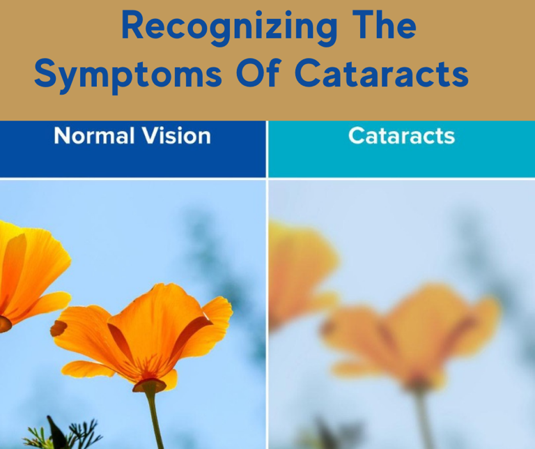cataract vs normal vision