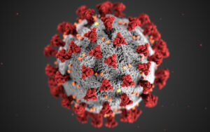 Image of the Coronavirus as seen under a microscope.